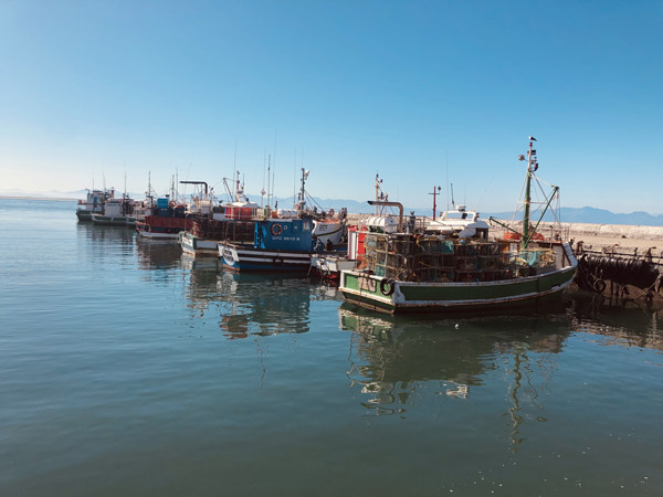 sustainable fisheries management