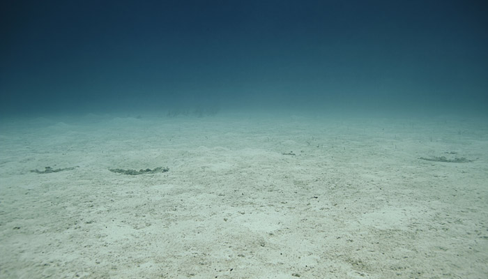 Seafloor Visualisation Equipment