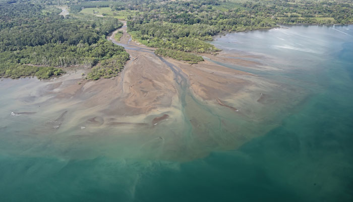 Water and Sediment Quality