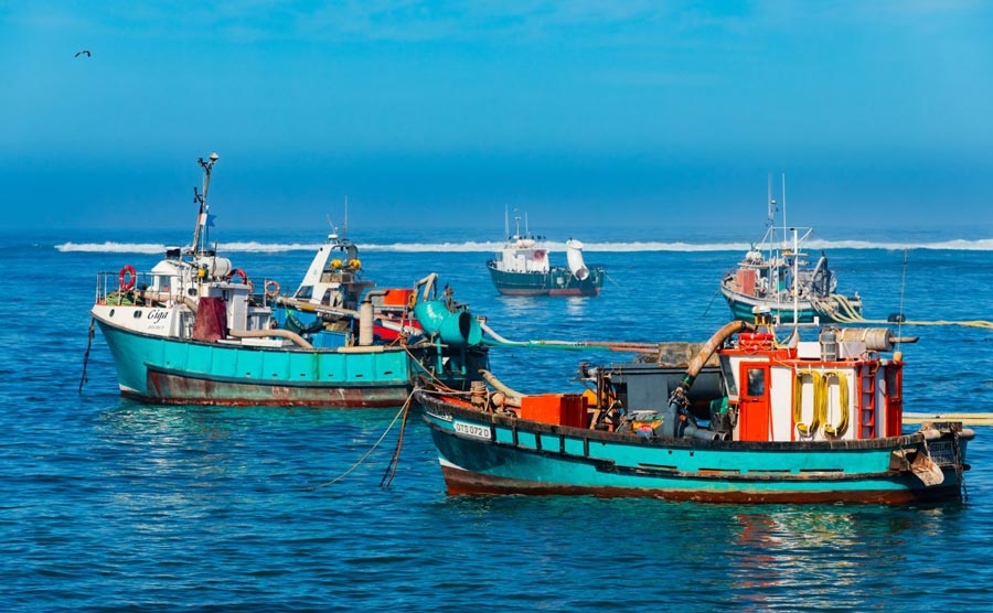 Why sustainable fisheries start with better data
